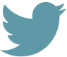 twitter link