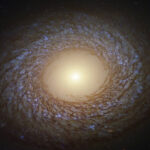 Galaxia jóven