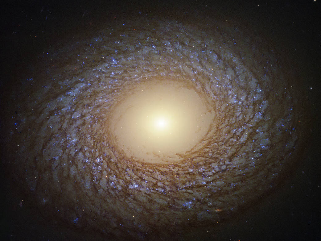 Galaxia jóven