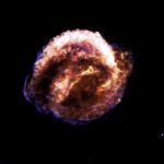 Supernova Kepler