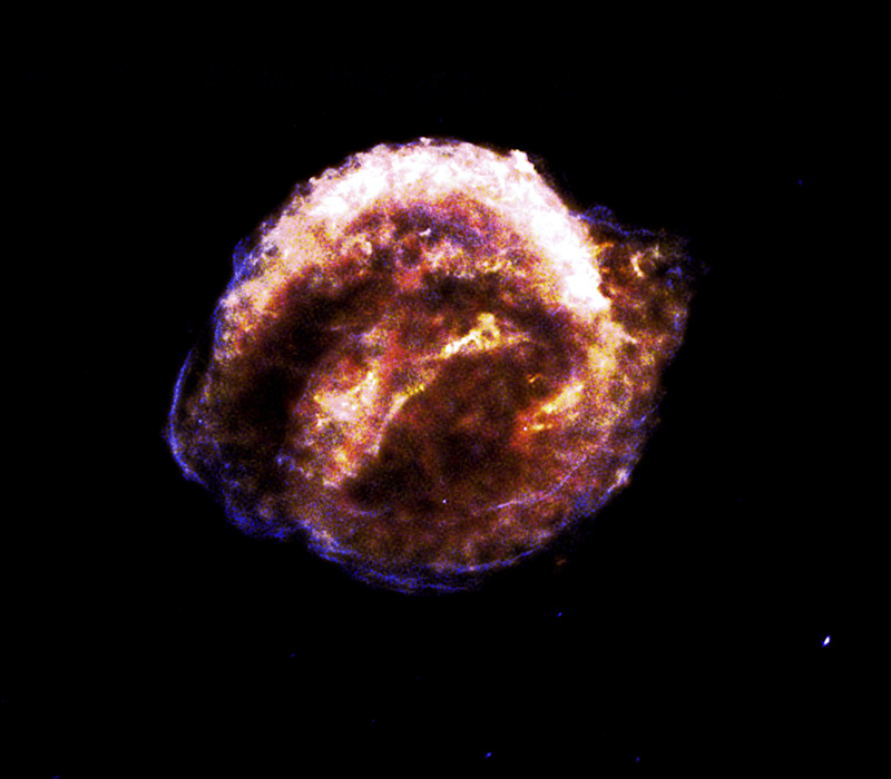 Supernova Kepler